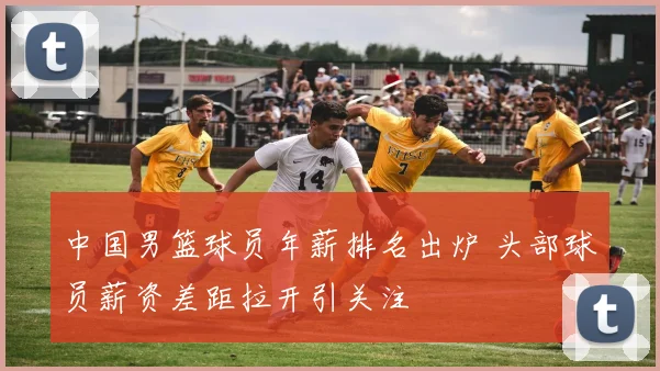 中国男篮球员年薪排名出炉 头部球员薪资差距拉开引关注